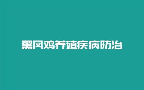 黑凤鸡养殖疾病防治-会东网