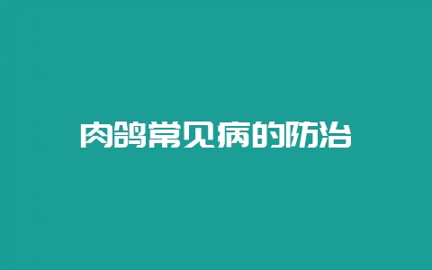 肉鸽常见病的防治-会东网