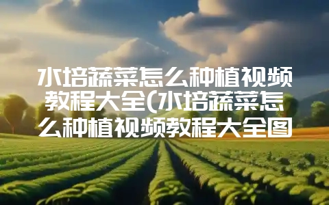 水培蔬菜怎么种植视频教程大全(水培蔬菜怎么种植视频教程大全图片)-会东网