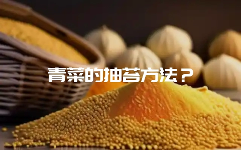 青菜的抽苔方法?-会东网