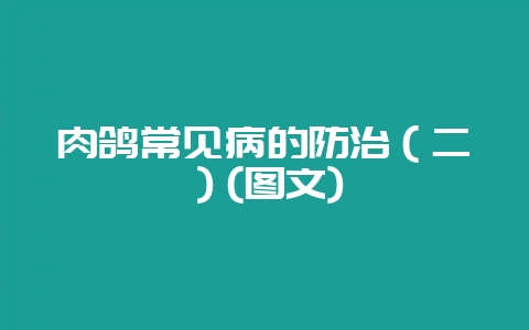 肉鸽常见病的防治（二）(图文)-会东网