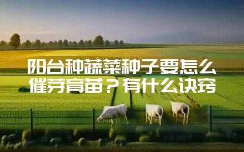 阳台种蔬菜种子要怎么催芽育苗？有什么诀窍-会东网