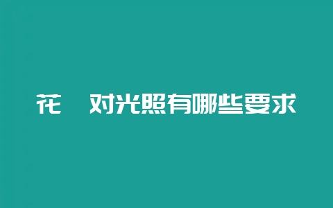 花卉对光照有哪些要求-会东网