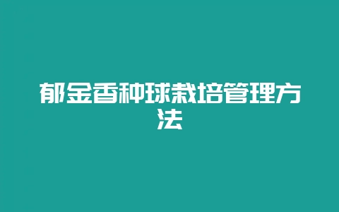 郁金香种球栽培管理方法-会东网