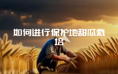 如何进行保护地甜瓜栽培-会东网
