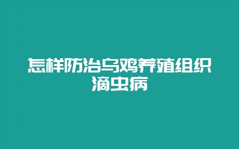 怎样防治乌鸡养殖组织滴虫病-会东网