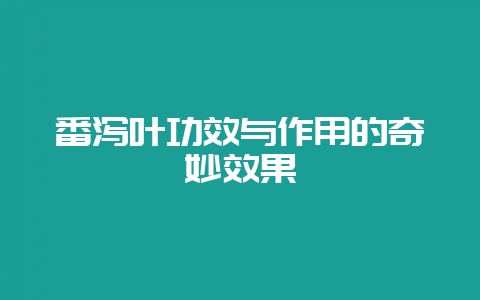 番泻叶功效与作用的奇妙效果-会东网