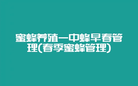 蜜蜂养殖一中蜂早春管理(春季蜜蜂管理)-会东网