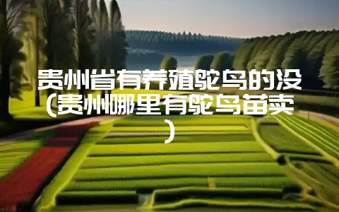 贵州省有养殖鸵鸟的没(贵州哪里有鸵鸟苗卖)-会东网