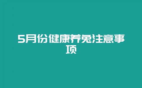 5月份健康养兔注意事项-会东网