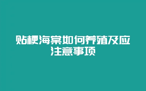 贴梗海棠如何养殖及应注意事项-会东网