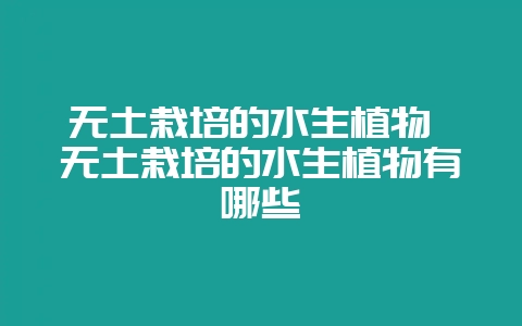 无土栽培的水生植物 无土栽培的水生植物有哪些-会东网