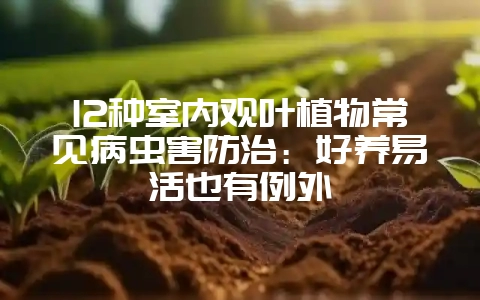 12种室内观叶植物常见病虫害防治:好养易活也有例外-会东网