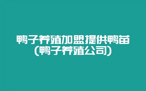 鸭子养殖加盟提供鸭苗(鸭子养殖公司)-会东网