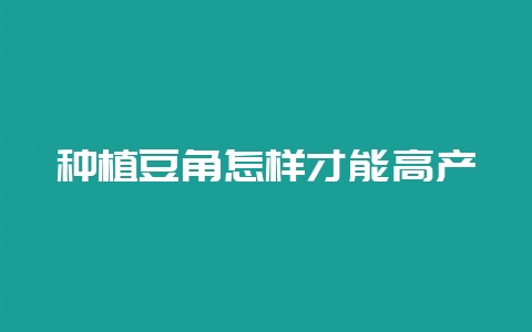 种植豆角怎样才能高产-会东网