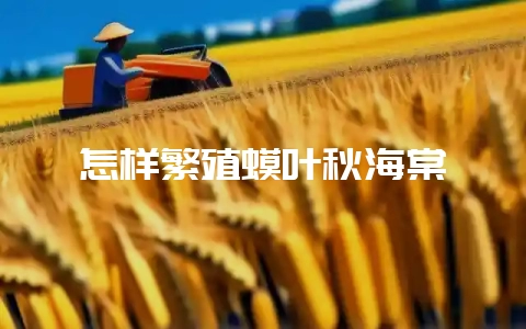 怎样繁殖蟆叶秋海棠-会东网