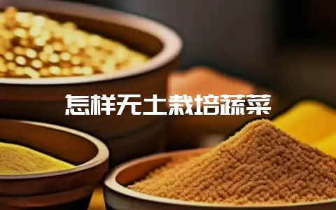 怎样无土栽培蔬菜-会东网
