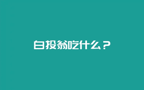 白头翁吃什么？-会东网