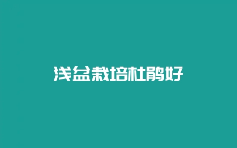 浅盆栽培杜鹃好-会东网