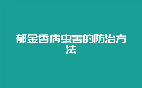 郁金香病虫害的防治方法-会东网