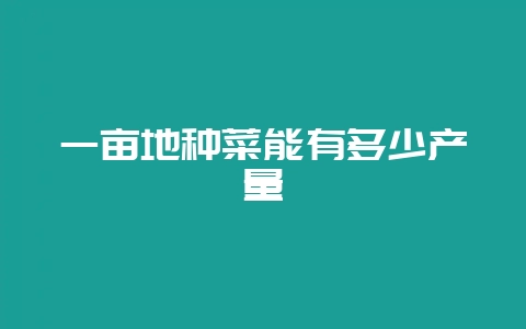 一亩地种菜能有多少产量-会东网
