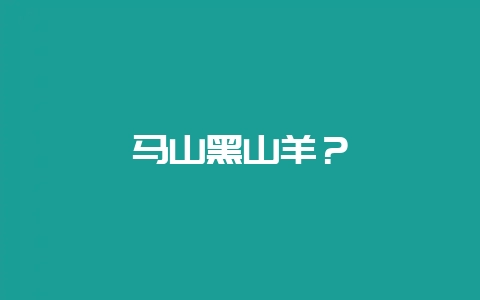 马山黑山羊?-会东网