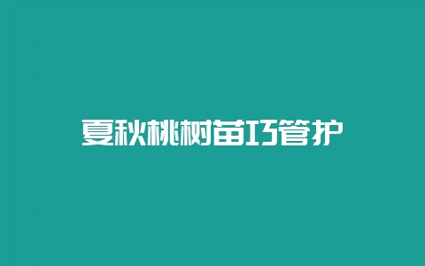夏秋桃树苗巧管护-会东网