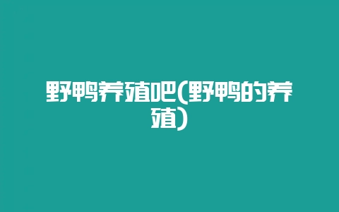 野鸭养殖吧(野鸭的养殖)-会东网