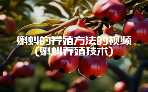 蝌蚪的养殖方法的视频(蝌蚪养殖技术)-会东网