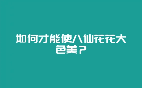 如何才能使八仙花花大色美?-会东网