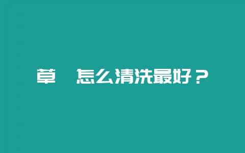 草莓怎么清洗最好？-会东网