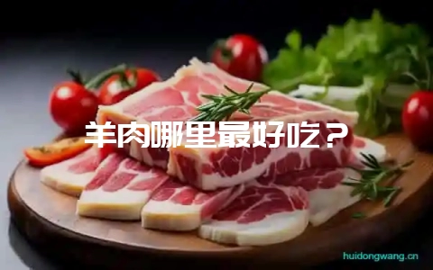 羊肉哪里最好吃?-会东网