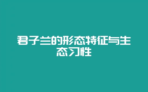 君子兰的形态特征与生态习性-会东网