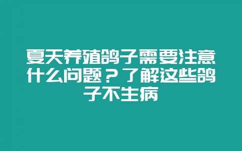 夏天养殖鸽子需要注意什么问题?了解这些鸽子不生病-会东网