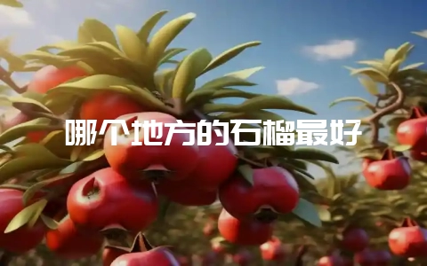 哪个地方的石榴最好-会东网