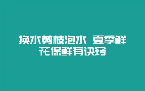 换水剪枝泡水 夏季鲜花保鲜有诀窍-会东网