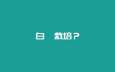 白芨栽培?-会东网
