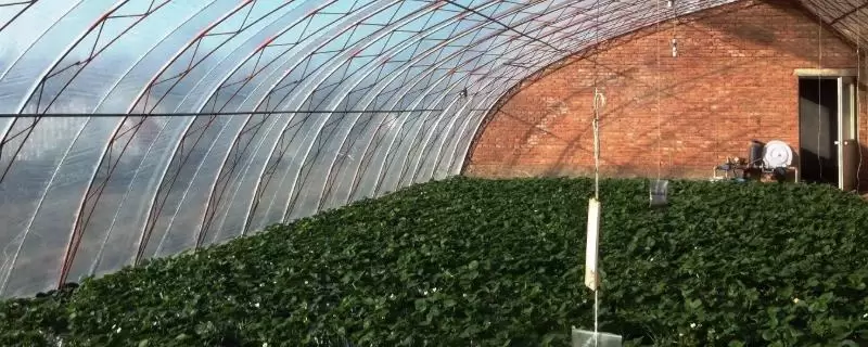 在农村怎么创业,不同的项目发展空间不同-会东网