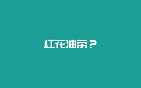 红花油茶?插图 红花油茶?插图