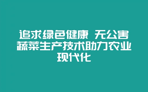 追求绿色健康 无公害蔬菜生产技术助力农业现代化-会东网