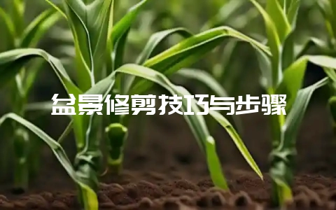 盆景修剪技巧与步骤-会东网