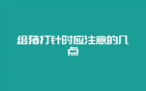 给猪打针时应注意的几点-会东网