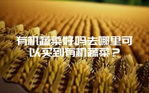 有机蔬菜好吗去哪里可以买到有机蔬菜？-会东网
