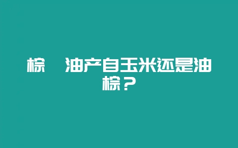 棕榈油产自玉米还是油棕？-会东网