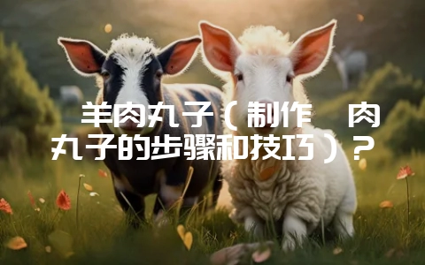 剁羊肉丸子（制作剁肉丸子的步骤和技巧）？-会东网