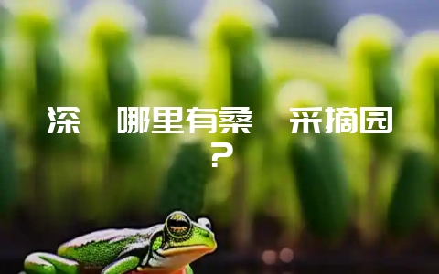 深圳哪里有桑葚采摘园?-会东网