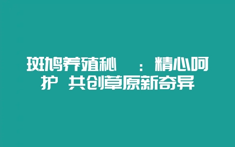 斑鸠养殖秘笈：精心呵护 共创草原新奇异-会东网