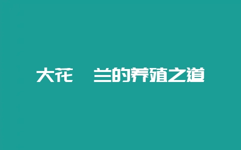 大花蕙兰的养殖之道-会东网
