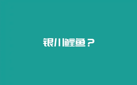 银川鲤鱼?插图 银川鲤鱼?插图