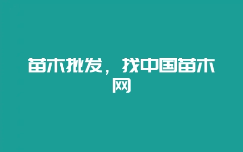 苗木批发，找中国苗木网-会东网
